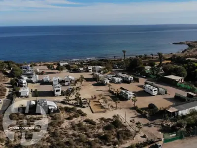 Tortuga-Mora Calabardina